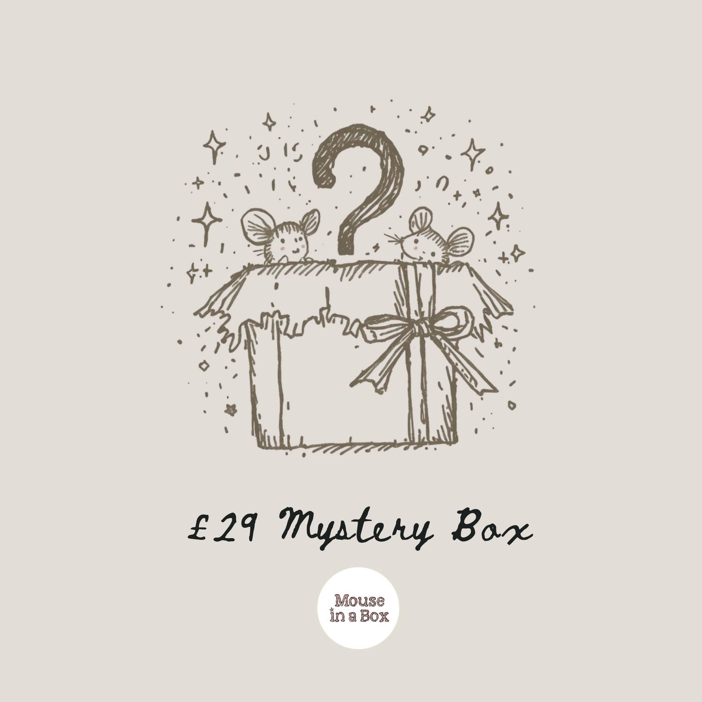 Maileg Mystery Box £29