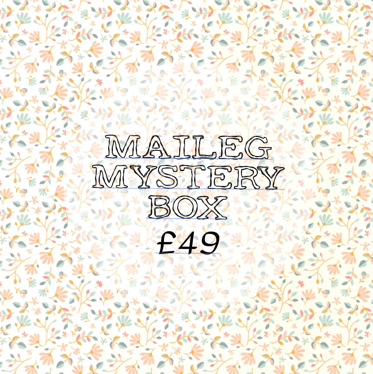 Maileg Mystery Box £49