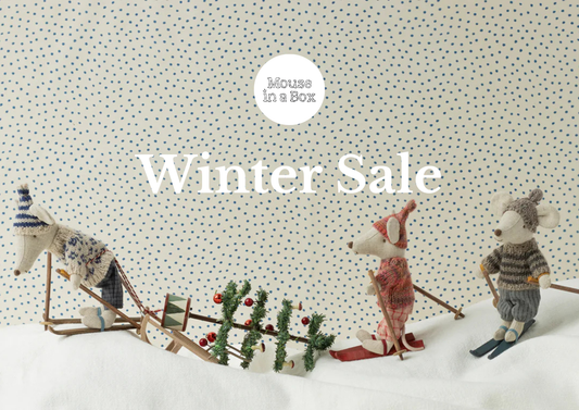The Mouse in a Box Winter Sale Is Here!