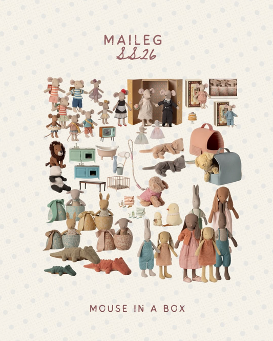 When Is My Maileg Arriving? 🐭📦