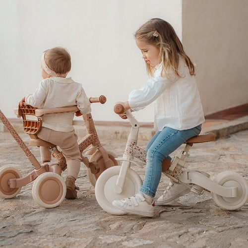 Little Dutch 4 in 1 Tricycle with Push Bar - Sunny Flower