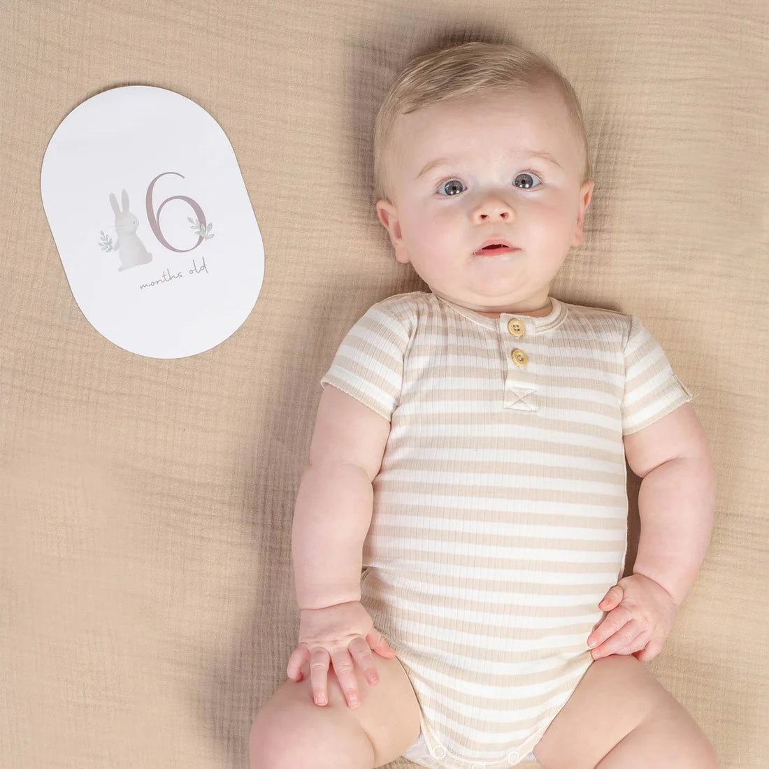 Little Dutch Baby Milestone Cards - Baby Bunny