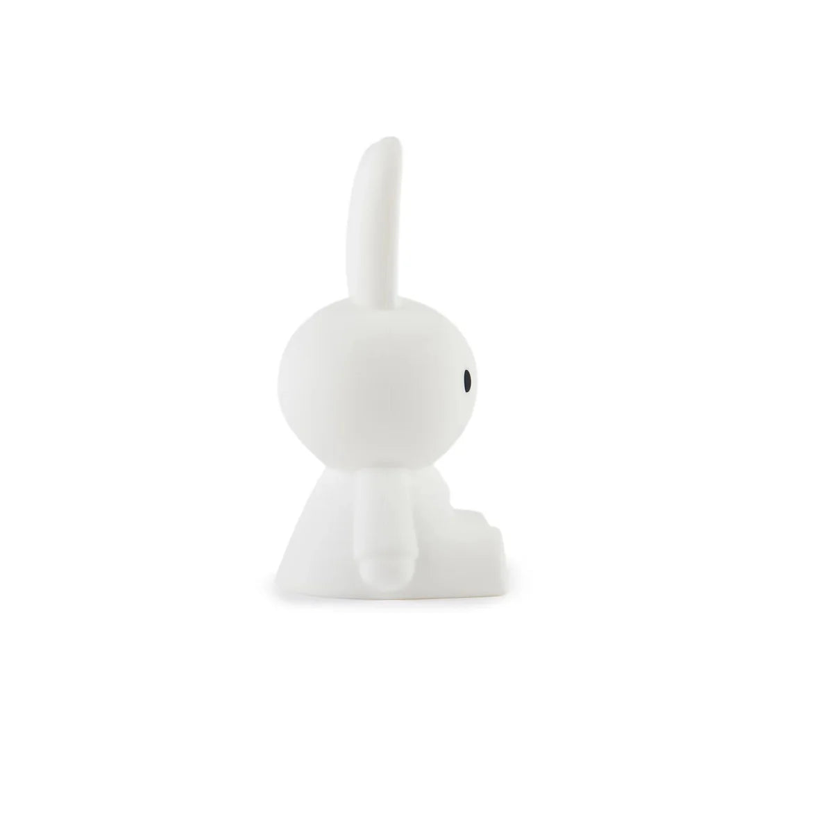 Mr. Maria Miffy First Light