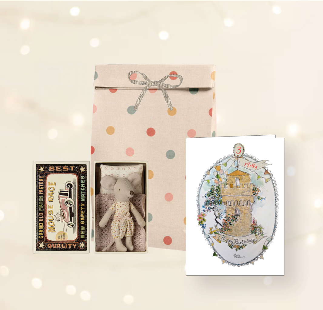 Official Maileg Mice Collection – Mouse in a Box – Mouseinabox