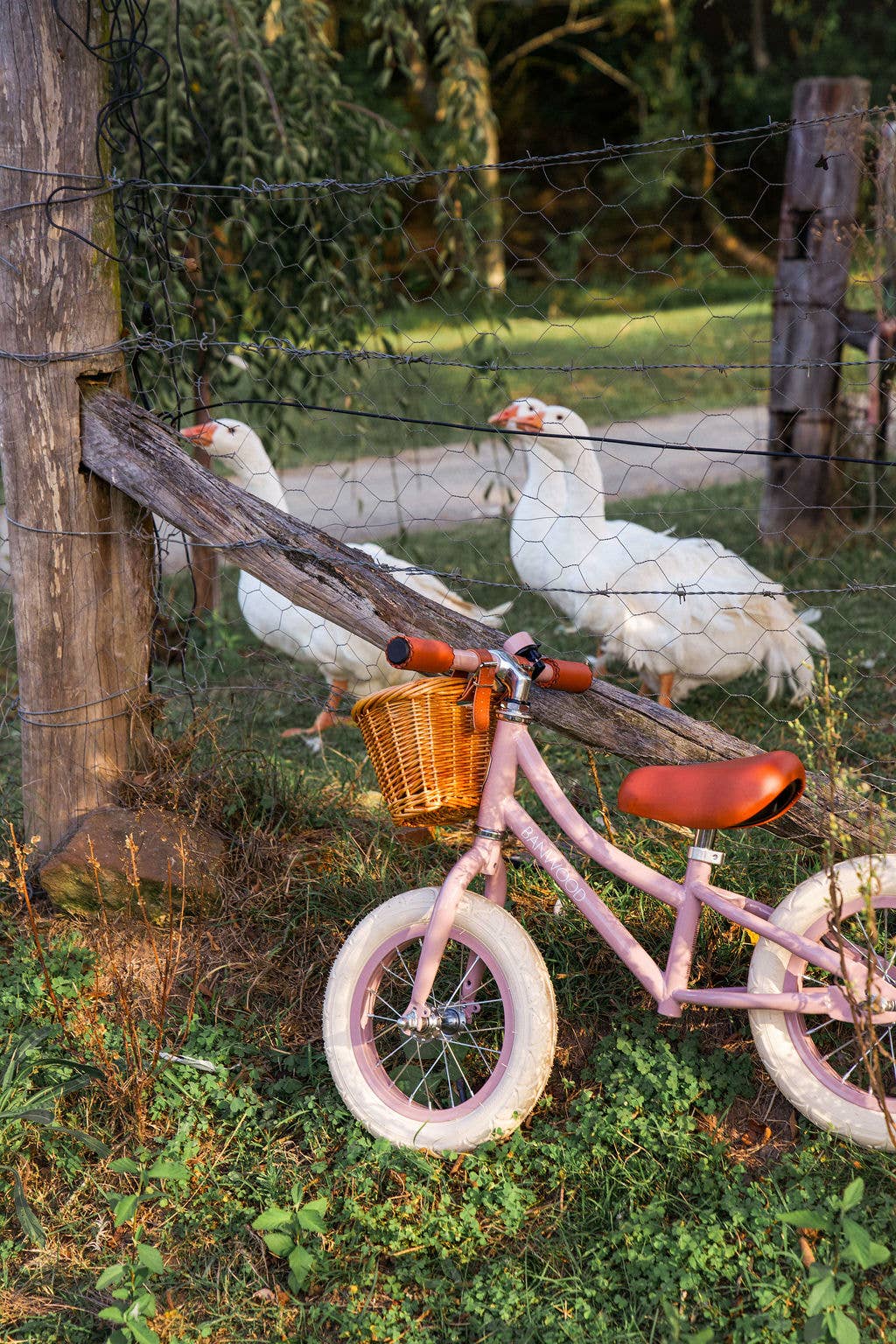 Banwood UK - BANWOOD BALANCE BIKE FIRST GO VINTAGE - DUSTY PINK